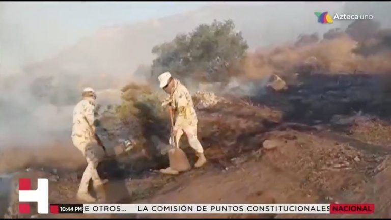 Militares y ciudadanos apoyaron en labores de auxilio de incendios en Baja California