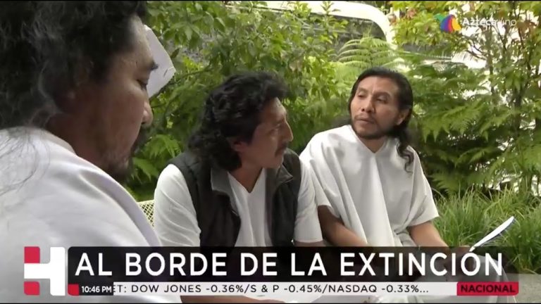 Se han secado lagunas, mantos acuíferos, y se ha perdido el 70% de la Selva Lacandona