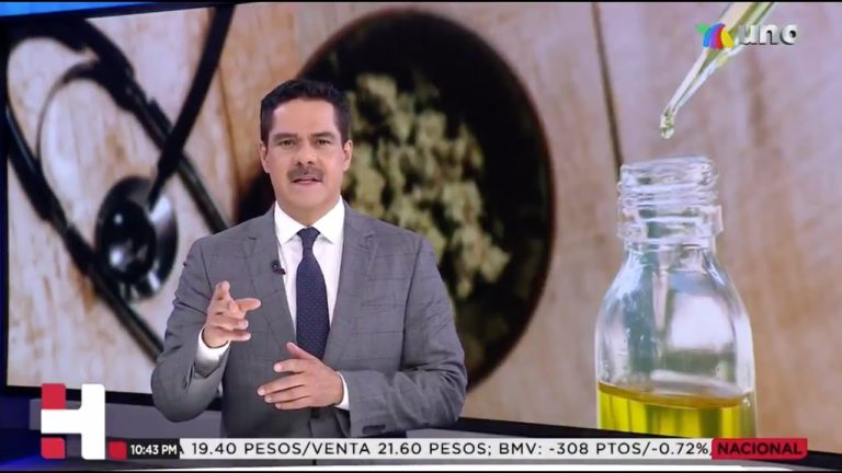 Senado de la República discute sobre la regulación de la cannabis