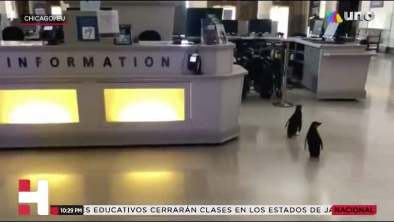 El sentido del humor también es parte de la contingencia del coronavirus
