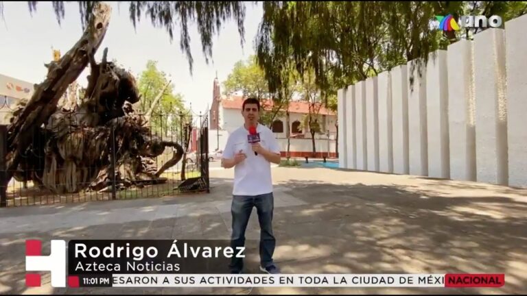 Se cumplieron 500 años de la “Noche triste”, cuando Hernán Cortés lloró su derrota bajo un ahuehuete