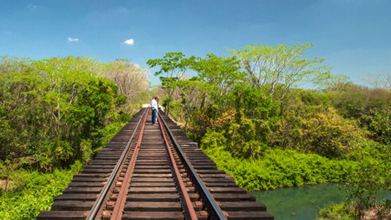 Suspenden de forma provisional obra del Tren Maya en zonas de Yucatán