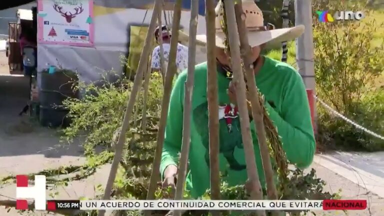 Artesanía de perlilla: tradición que se mantienen viva en el Estado de México