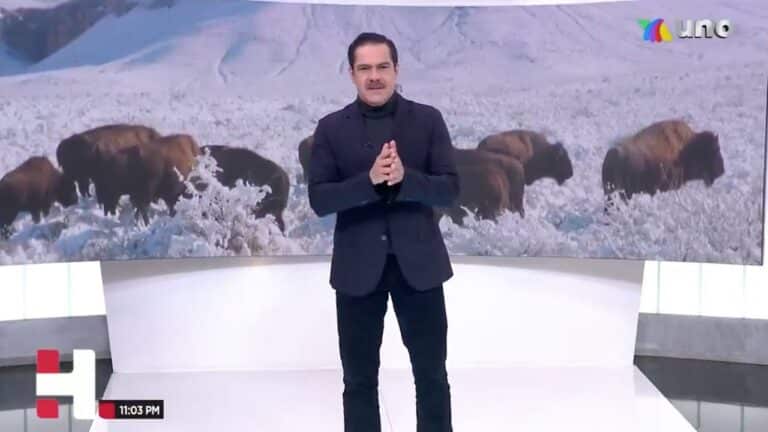 Después de 100 años se observan bisontes americanos en reserva natural en Coahuila