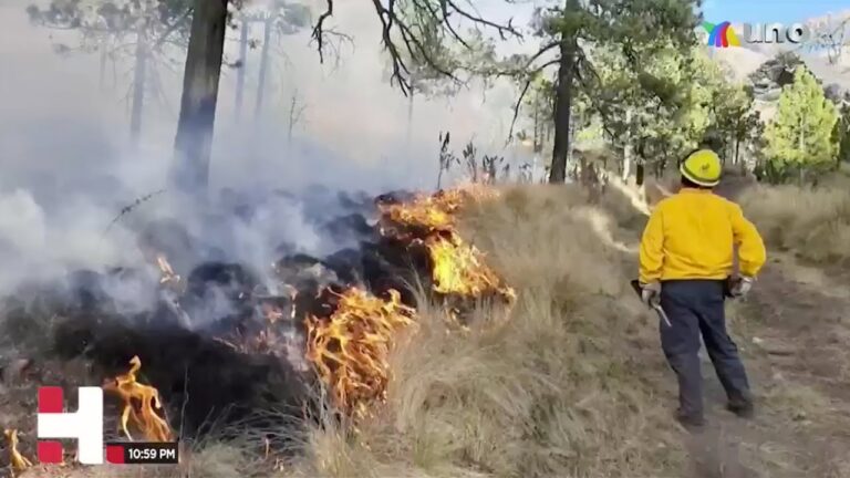 Después de 48 horas controlaron el incendio en las faldas del Iztaccíhuatl