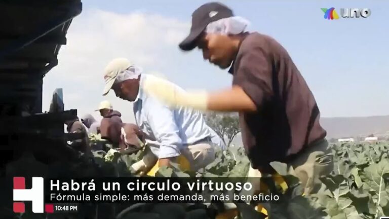Plan de rescate económico de EUA tendrá efectos positivos en la economía mexicana
