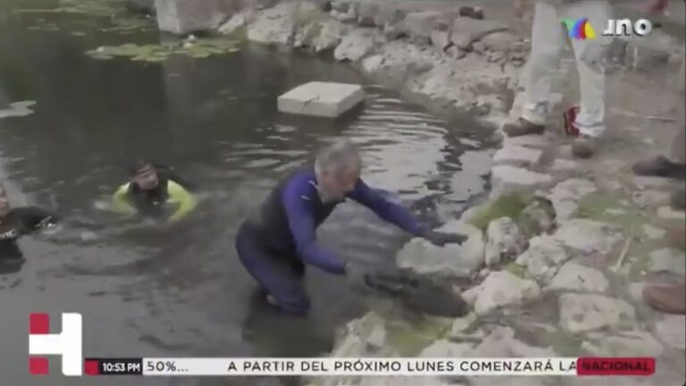 Encuentran cientos de medidores de luz enterrados en un cenote de Yucatán