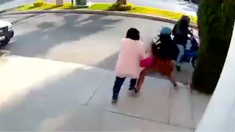 Ladrón intenta robar a mujer pero ella se defiende y recupera su bolsa y su celular