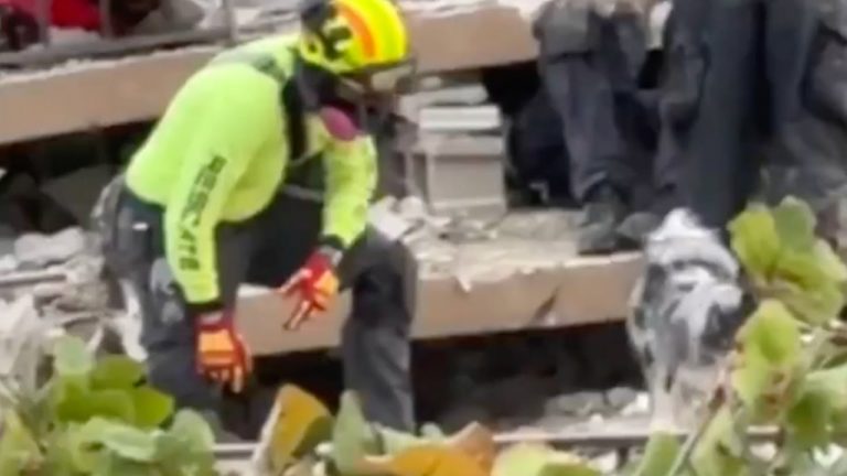 La historia de “Oreo”, el perro mexicano rescatista en el edificio de Miami y otros videos virales