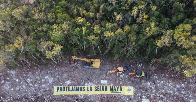 “No necesitamos el Tren Maya, necesitamos la selva”: activistas lanzan video