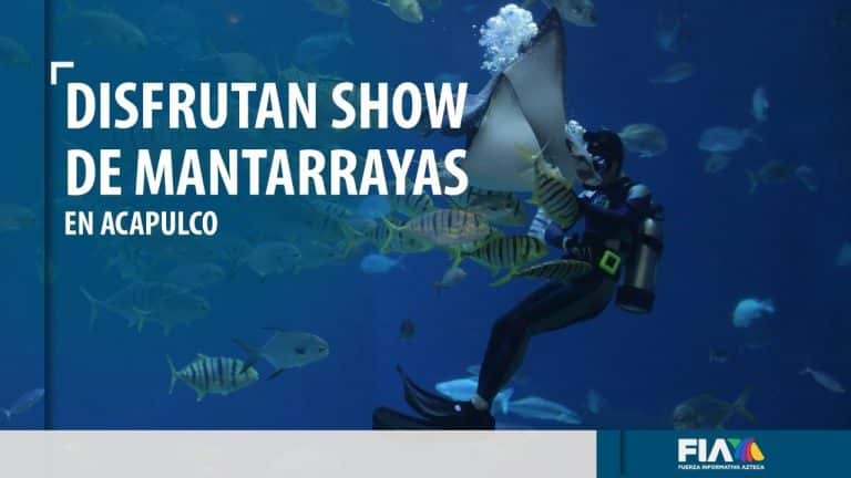 Turistas reciben sorpresivo espectáculo natural de mantarrayas en Acapulco