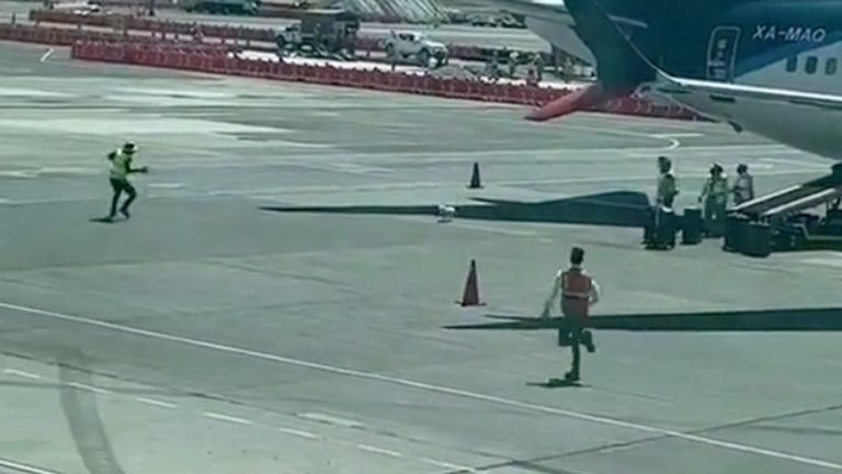 Perrito escapa y es perseguido por aerolínea en aeropuerto de Guadalajara