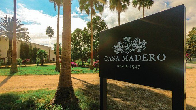 Sujetos armados irrumpen en viñedos de Casa Madero en Coahuila
