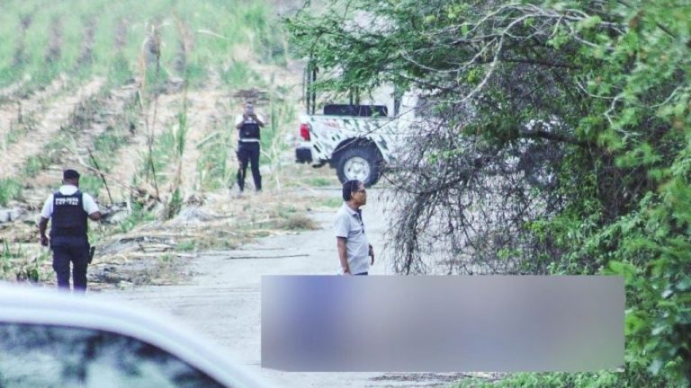 Hallan siete cuerpos en Aquismón, San Luis Potosí; buscan a responsables