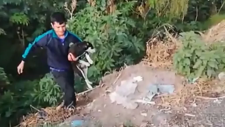 Captan a sujeto que amarró y arrojó a su perro a un río en Chiconcuac