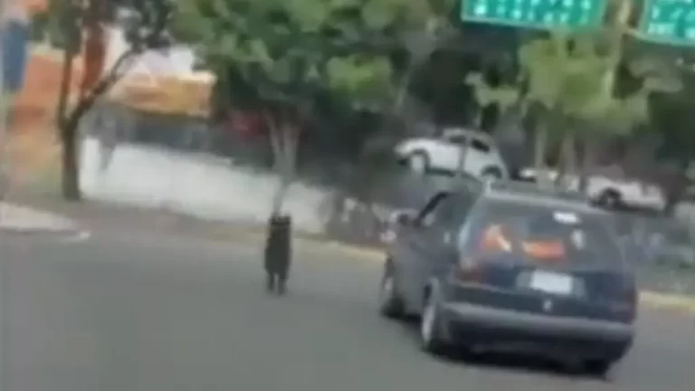 Graban abandono de perro en la CDMX; mascota corre tras el auto de sus dueños