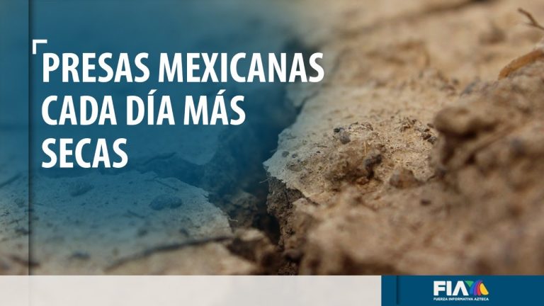 Tras dos años sin lluvia no hay alimento ni apoyos; animales mueren por sequía