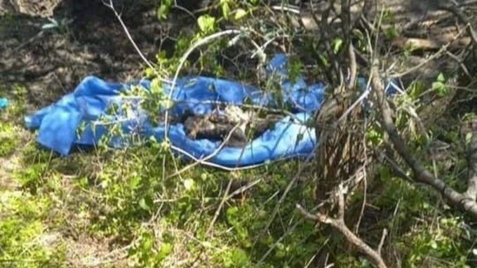 Autoridades localizan en Michoacán fosas clandestinas con 11 cadáveres
