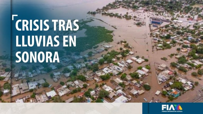 Crisis en Sonora tras las fuertes lluvias; fuerza del agua arrastra personas y animales