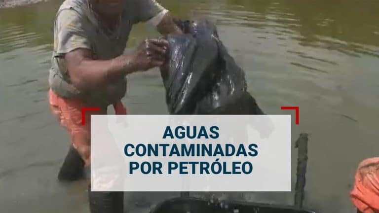 Emergencia ambiental en Veracruz; campesinos limpian con sus manos pozos de agua contaminados