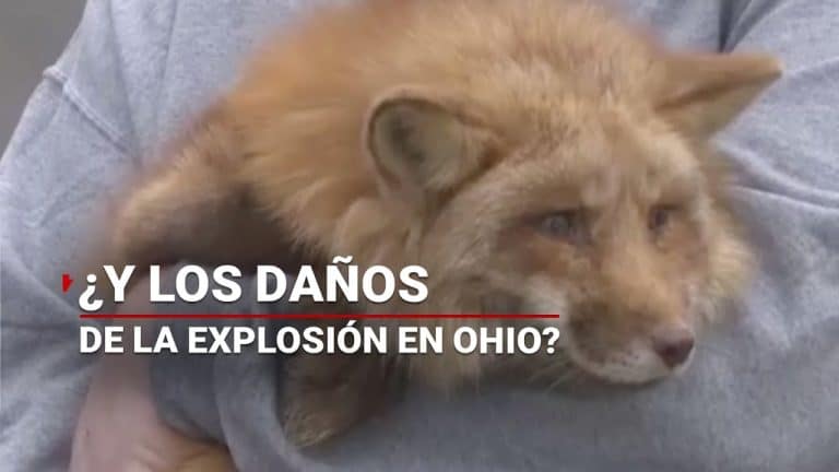 Severa fuga de combustible en Ohio, EUA; ya se notan los efectos de la tóxica explosión