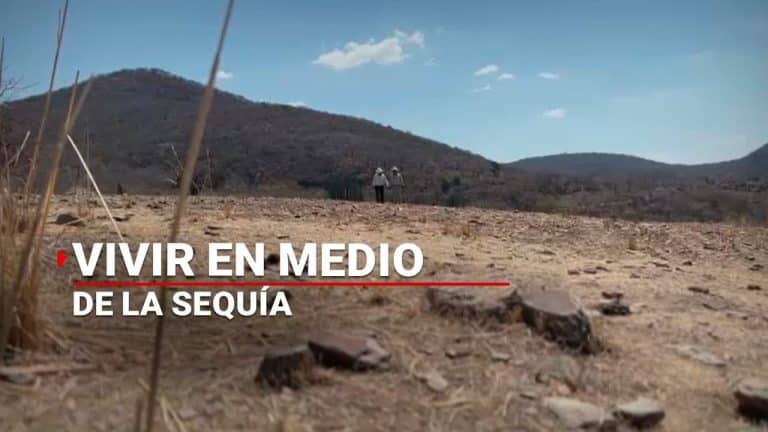 En Puebla no hay agua para regar cultivos ni para dar de beber al ganado; se repite dramática situación de otros años