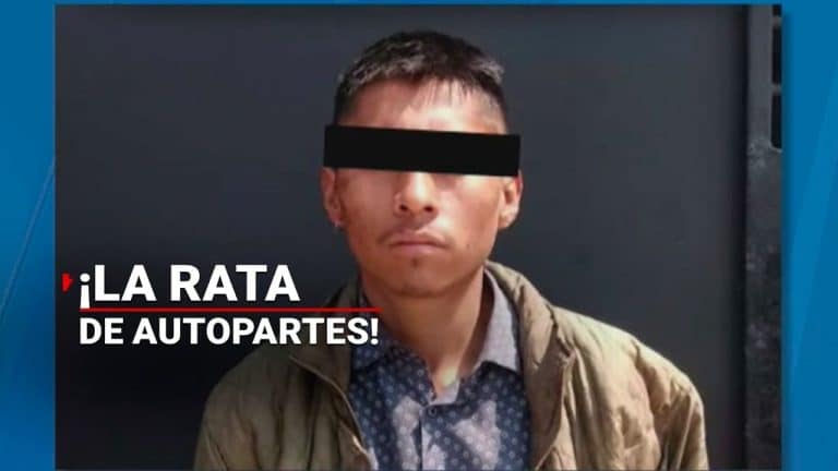 “El Tolentino” ha sido detenido 32 veces por robo pero en todas ha quedado libre por falta de denuncias