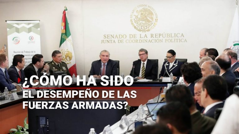 Responsables de la seguridad rindieron cuentas en el Senado; presentaron balance del desempeño de Fuerzas Armadas