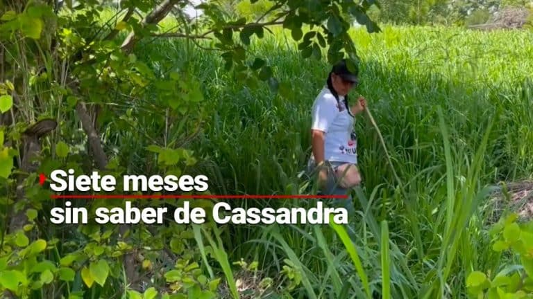 Tras 7 meses desaparecida siguen buscando a Cassandra; autoridades de Chiapas investigan en un terreno