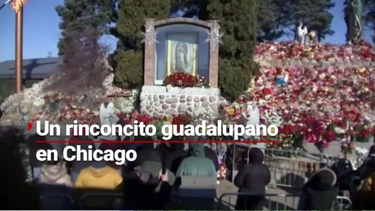 Migrantes llevan su devoción por la Virgen de Guadalupe a Chicago; mexicanos en EUA le rinden tributo