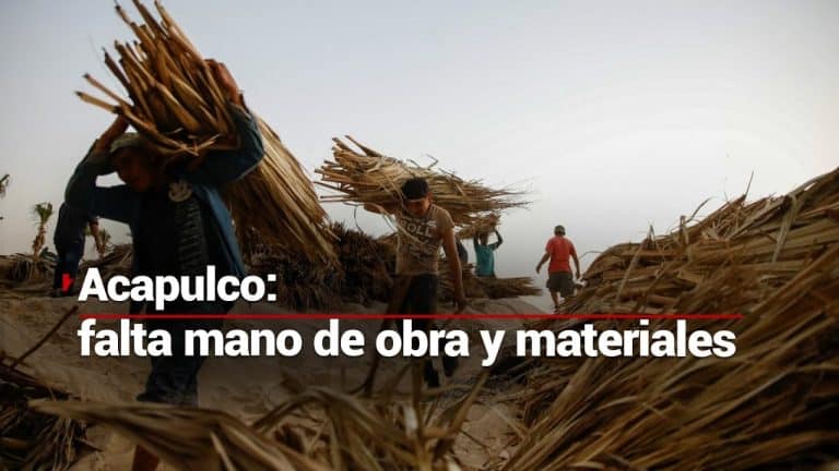 Hay escasez de mano de obra y materiales para la reconstrucción en Acapulco; cientos llegan al puerto a buscar trabajo