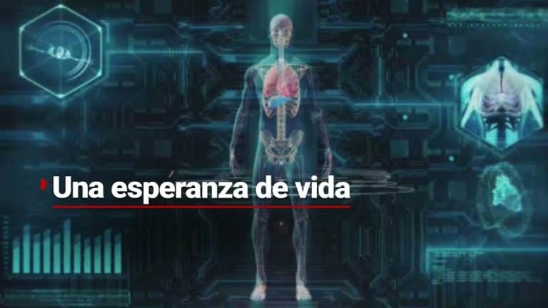 La IA podría ser la respuesta ideal a la medicina en cuanto a trasplantes de órganos