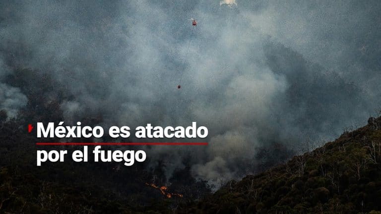 19 estados arden en llamas por incendios forestales