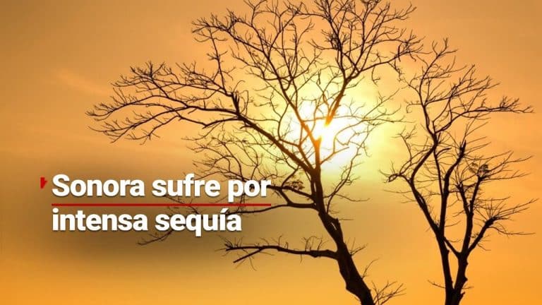Sonora sufre consecuencias de la peor sequía registrada