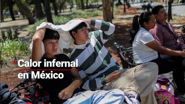 Usan la creatividad para aguantar las altas temperaturas