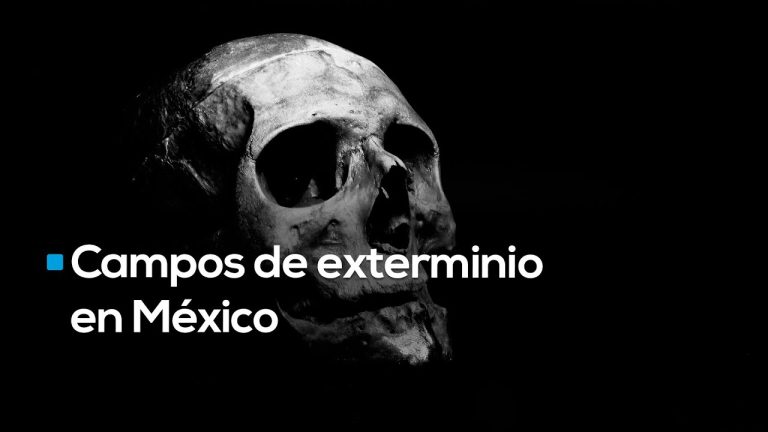 Siguen excavaciones en crematorios y fosas clandestinas